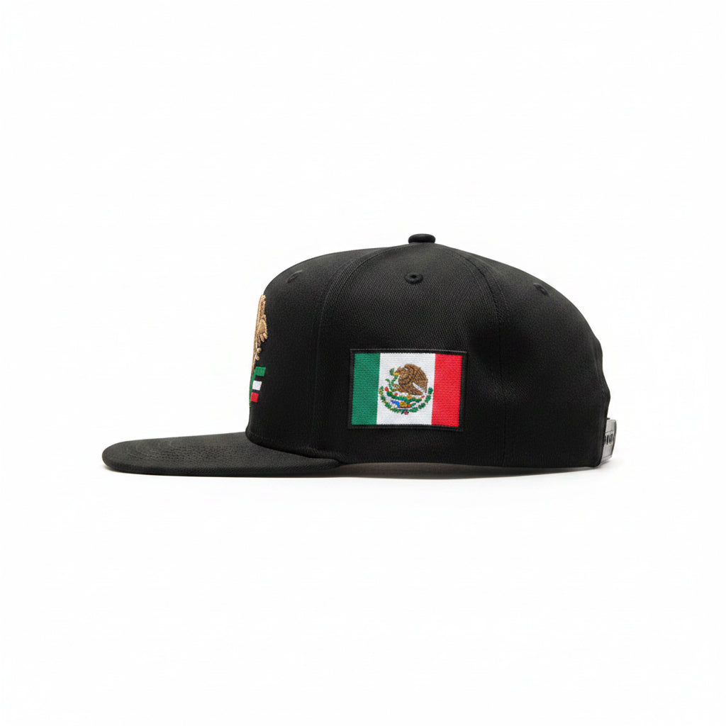 Import CAP "PRIDE"