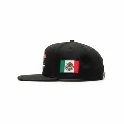 Import CAP "PRIDE"